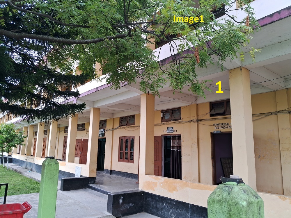Description of Image 1