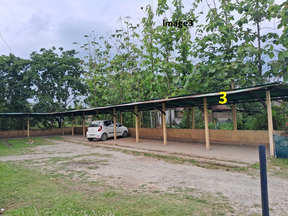 Description of Image 3